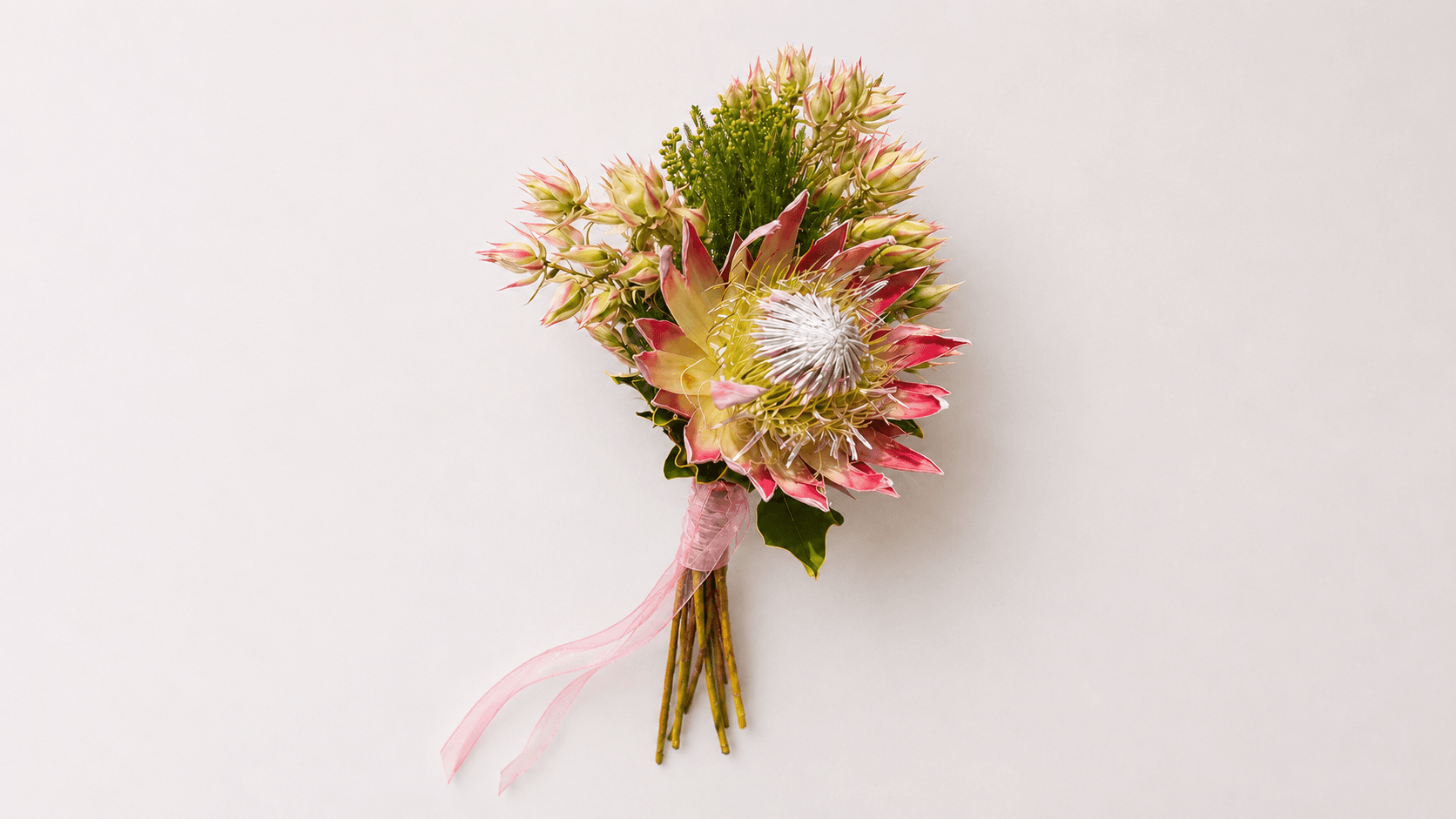 Seruria bouquet